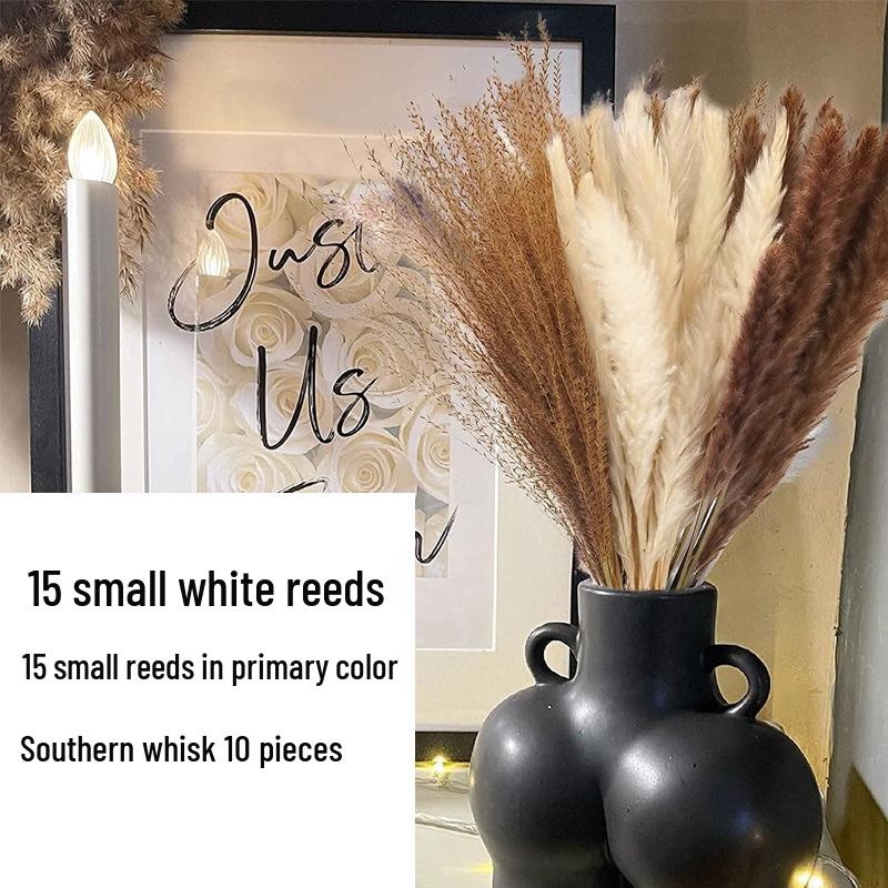 Nordic Style Dried Flower Bouquet: Mixed Arrangement with Small Reeds, Bunny Tail Grass, and Duster for Home Decoration.