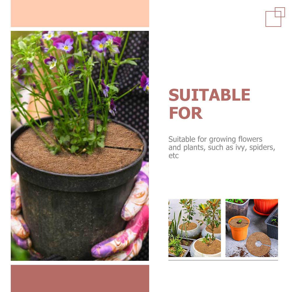 6Pcs Natural Coconut Fiber Flowerpot Liner Mat Thick Breathable Coir Mulch Ring for Plants Spider Plant Succulents Garden