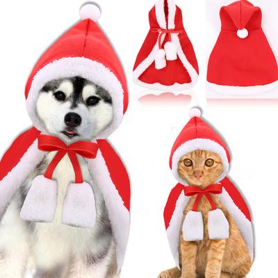 Kedi – Kediler için giyim