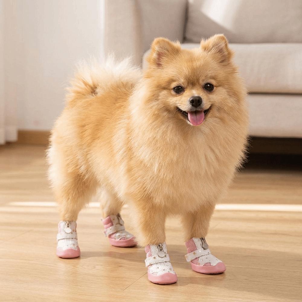 4Pcs Anti-Slip Sole Mesh Dog Shoes Golden Mesh Anti-Slip Dog Booties Indoor Activities