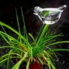 5pcs Automatic Plant Watering Bulb, Bird Shape for Sustained Release, Vacation Plant Care with Simple Vacuum Principle
