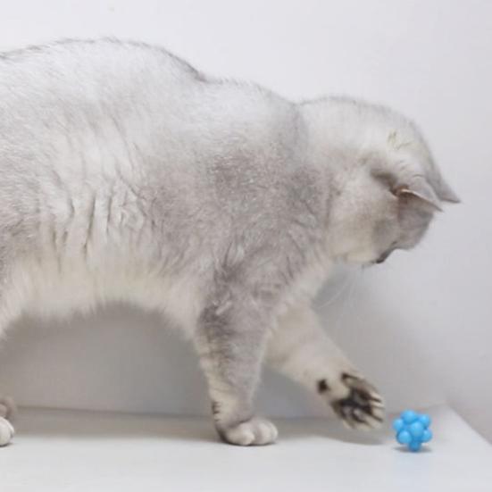 Hüpfender Katzenspielzeugball mit elastischem Rückprall TPR Multi-Winkel-Kauspielzeug für Alleinspiel & Zahnen Selbstunterhaltungsspielzeug für Kätzchen Erwachsene Katzen