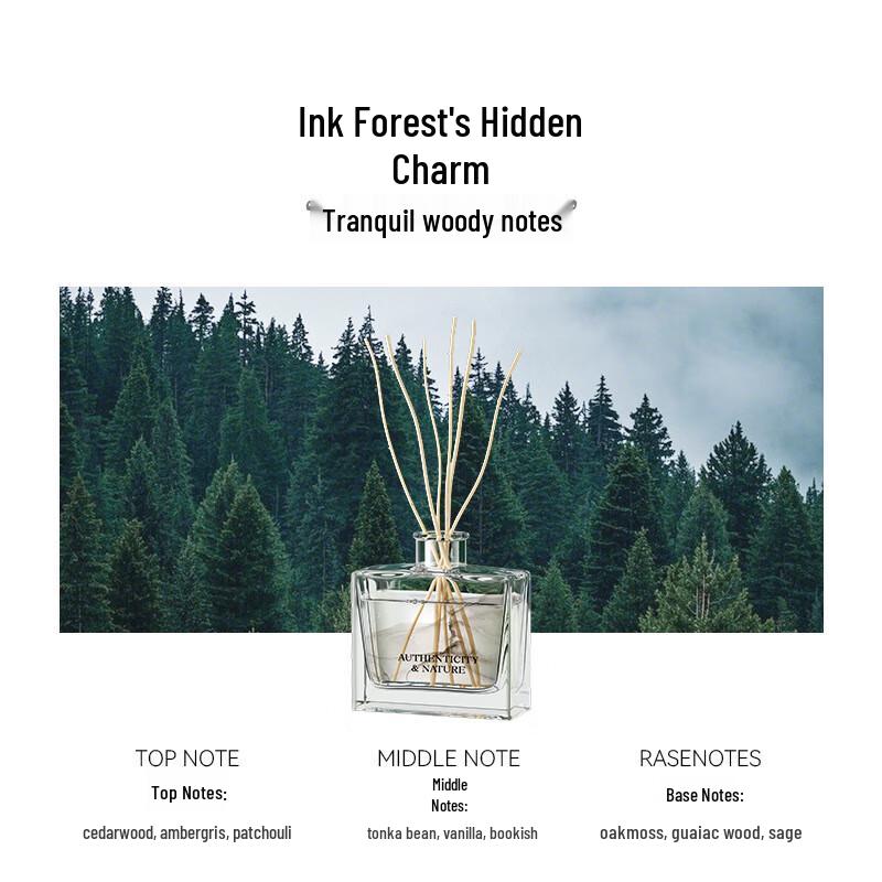 Joyroom Odor Removing Flameless Aroma Diffuser