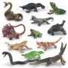 Detailed Pvc Frog Turtle Lizard Snake Chameleon Model Set For Nature Enthusiasts And Collectors