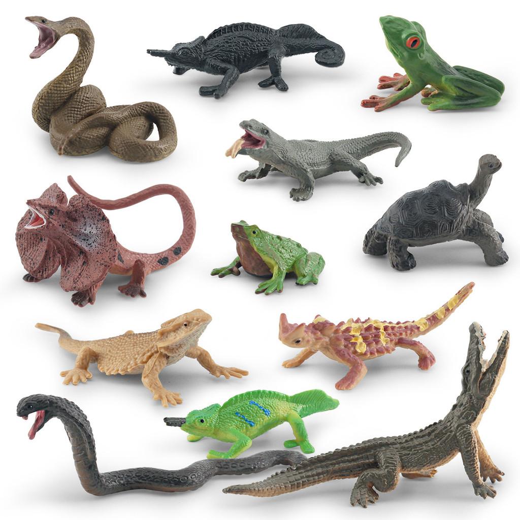 Detailed Pvc Frog Turtle Lizard Snake Chameleon Model Set For Nature Enthusiasts And Collectors