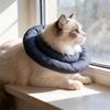 Köpek – Köpek bakım ürünleri