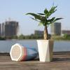 with Clear Saucer Reservoir Plant Pot with Drainage Hole Desktop Plants Pot