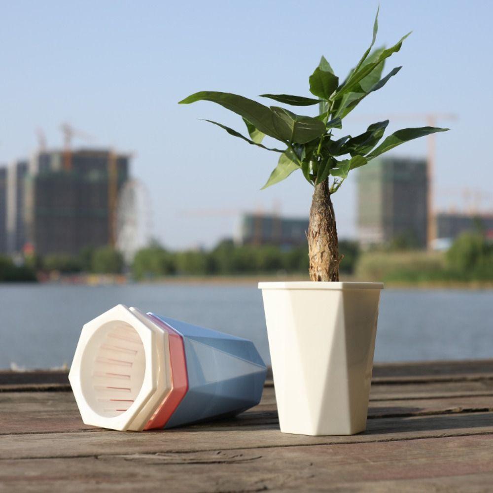 with Clear Saucer Reservoir Plant Pot with Drainage Hole Desktop Plants Pot