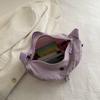 Premium sense bag women's 2025 new niche versatile foreign style shoulder cloth bag Japanese going out casual messenger women's bag
