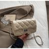 Gentle Texture Lock Temperament Chain Small Bag Women's 2025 Spring New Versatile AINS Crossbody Bag Small Square Bag
