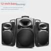 12-Zoll Tragbarer Bluetooth Karaoke-Lautsprecher mit Mikrofon
