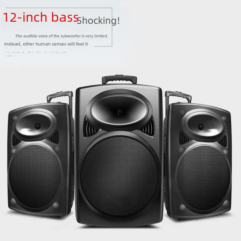 12-Zoll Tragbarer Bluetooth Karaoke-Lautsprecher mit Mikrofon