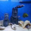 Aquarium Fisch Tank Harz Dekoration Ostern Insel Simulation Statue Personalisierte Urlaub Überraschung Geschenk Home Dekorationen Ornament