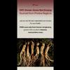 PNBG (PoongyunBogam) - Korean Red Ginseng All Day Good Time Gold (Red Ginseng Stick)