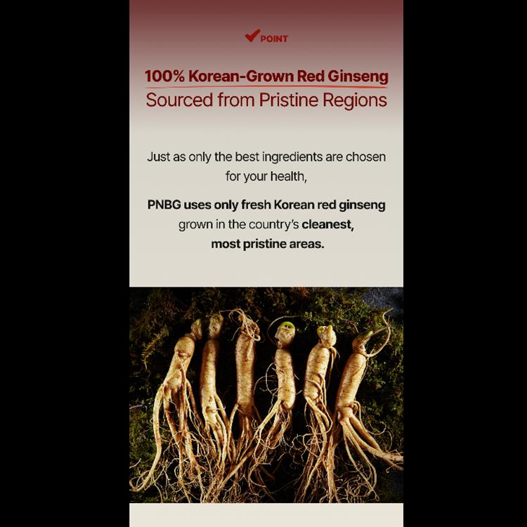 PNBG (PoongyunBogam) - Korean Red Ginseng All Day Good Time Gold (Red Ginseng Stick)