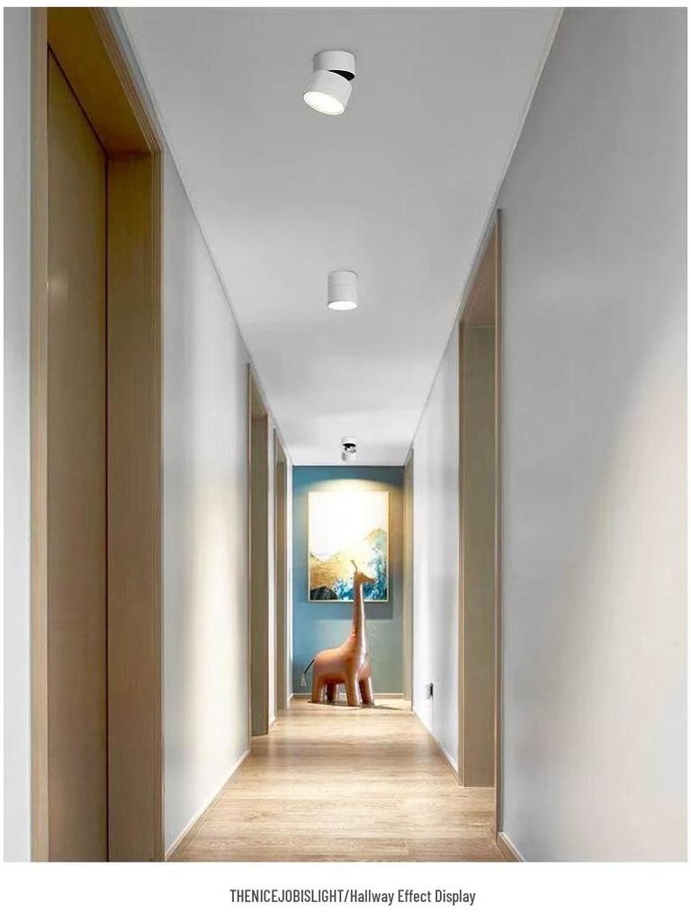 Adjustable LED Surface-Mounted Round Downlight for Living Room, Hallway, or Corridor - No Cutouts Needed, Smart Dimming Ceiling Lamp