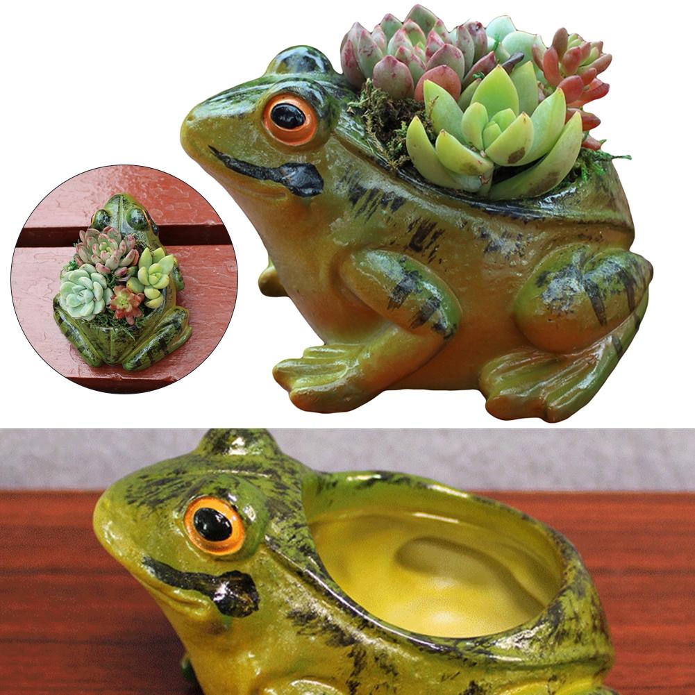 Realistic Design Frog Succulent Plant Pots Indoor Decor Resin