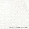 Holbein Waterford Waterford Watercolor Paper EHB-F10 White Medium 300g F10 Size Block Type 12 She...