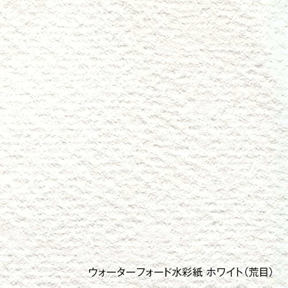 Holbein Waterford Waterford Watercolor Paper EHB-F10 White Medium 300g F10 Size Block Type 12 She...