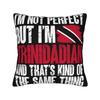 Trinidad and Tobago Flag Football Pillow Covers Stuff Printing Cushion Cover Decor  Pillow Case Cover Home Multiple Sizes