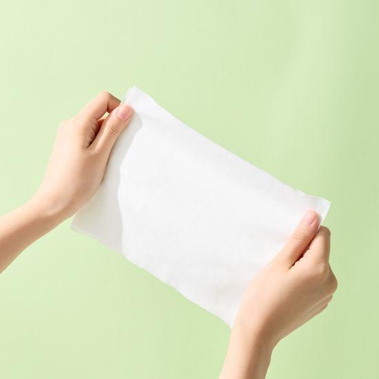 PAPARECIPE Real Centella Cica Watery Cleansing Tissues 100 Sheets