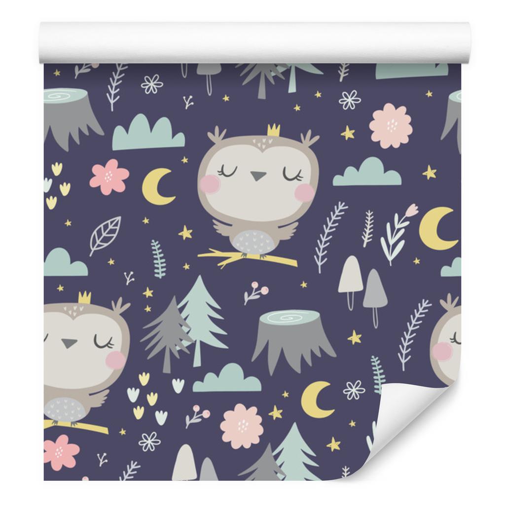 Owls Clouds Moons Wallpaper for Living Room and Bedroom 50x1000