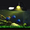 Super Slim Aquatic Plant Lighting 3W Power Fish Tank Light Clip-on Lamp  Aquarium Decoration