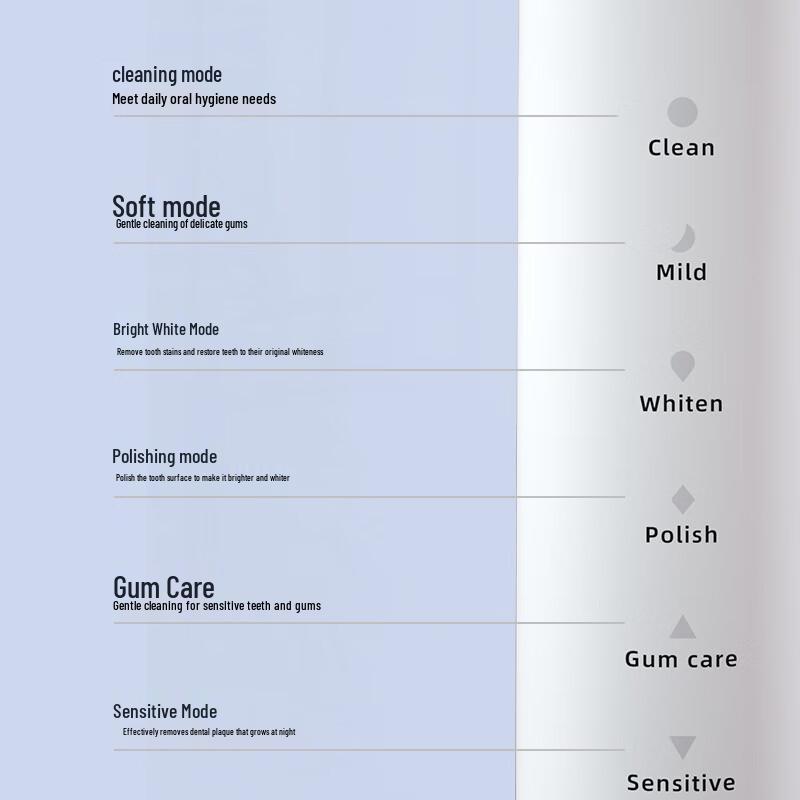 Rechargeable Sonic Electric Toothbrush with Oral Irrigator CN plug (adapter included)