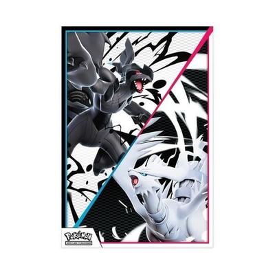 Collection Poster Pokémon Unys - Black Lightning and White Flame