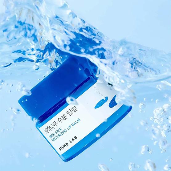 ROUND LAB Birch Juice Moisturizing Lip Balm 20g