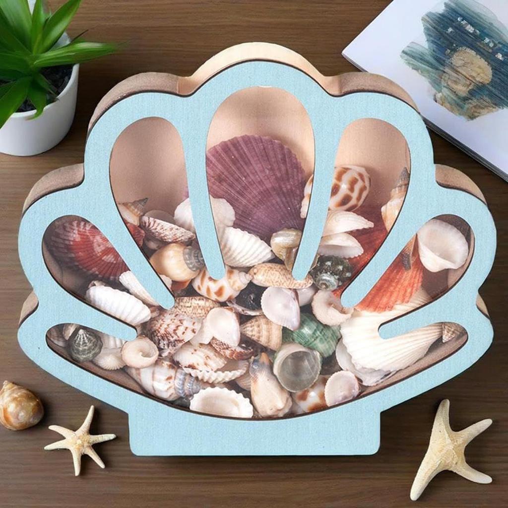 Seashell Display Box Wooden Seashell Organizer Elegant Jewelry Organizer Trinket Storage Shelf Decor For Small Starfish Rings