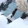 NEW Durable Car Snow Shovel Car Windshield Snow Removal Scraper Ice Shovel Window Cleaning Tool for All Car Accessories Removal