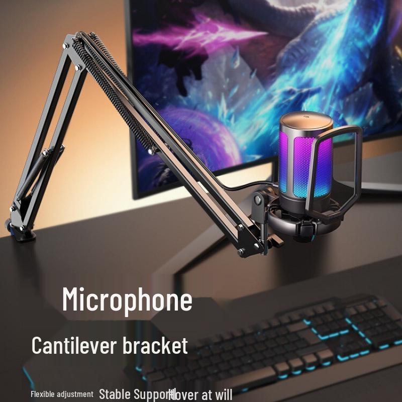 Fifine Professional Shockproof Microphone Stand with Fixed Boom Arm