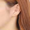 Akoya Pearl Gold Baby Pearl from a Pearl Specialty Store [Isowa Pearl] Earrings, 4.0-4.5mm, (18K), FID6376436, Long-established
