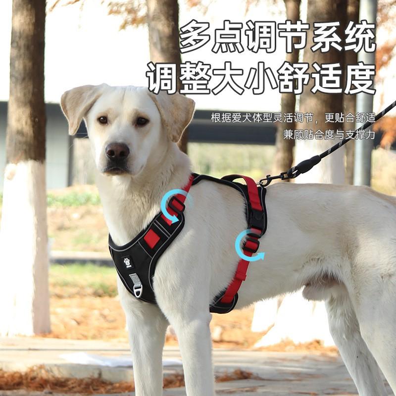 Adjustable Dog Harness Vest With Leash Medium To Large Breeds Golden Retriever Labrador Outdoor Walking Comfort Fit