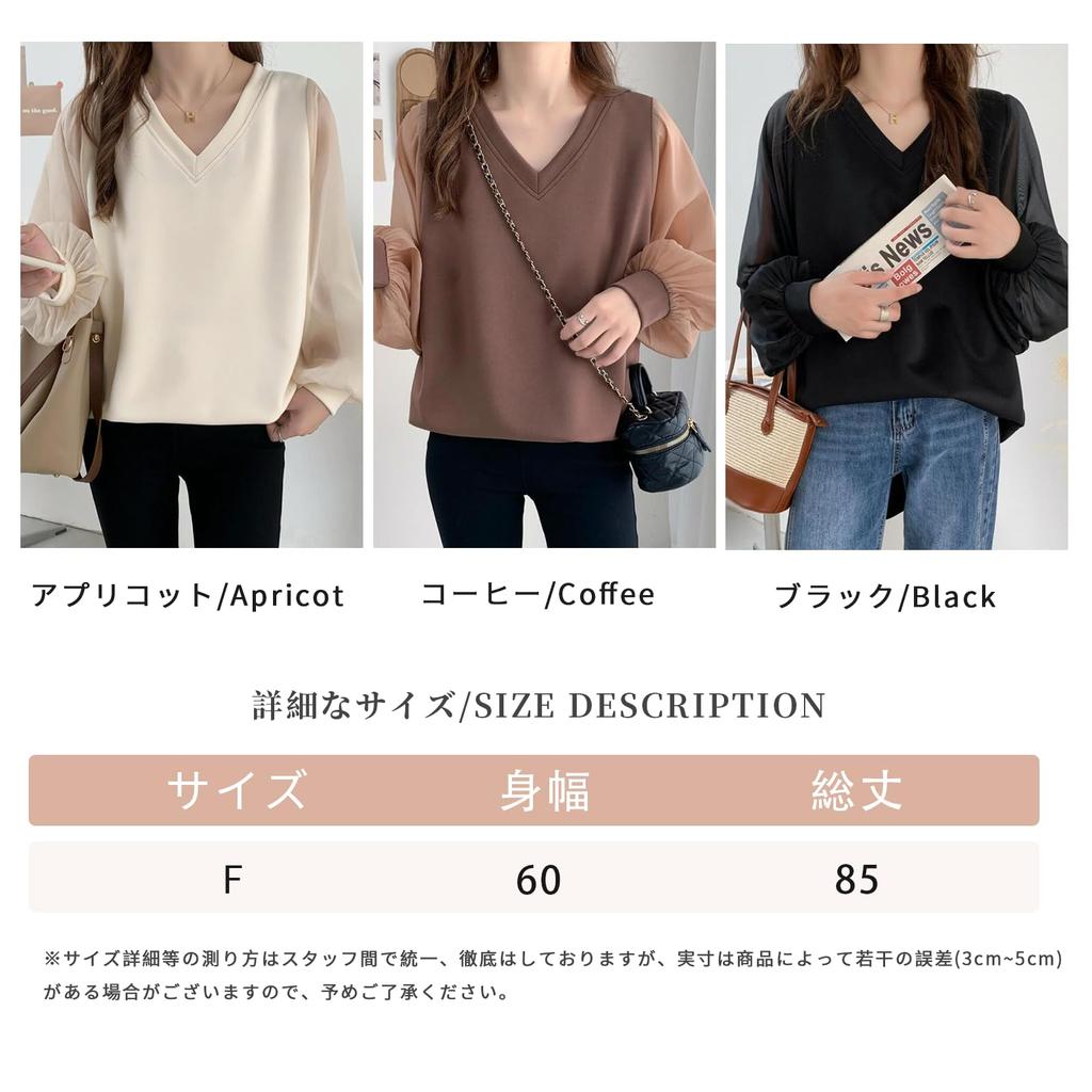 KumiModa Chiffon Long Sleeve Sheer Chiffon Party Women's Blouse, Top, V-Neck, Top, Business, Professional, Unique, Elegant, Casual, Outings, Stylish,