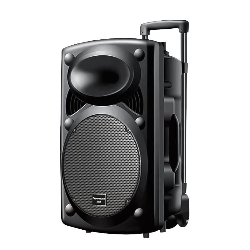 Newsmy B12 15-inch Portable Bluetooth Trolley Speaker with Dual Mics CN Plug (adapter Included)