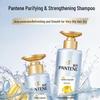 Pantene PRO-V Purifying & Smoothing Scalp Shampoo