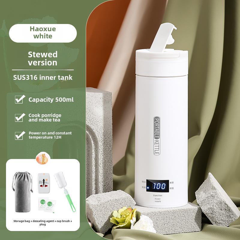 Mini Portable Electric Kettle with Thermostat - 110V US Standard, Ideal for Travel and Office