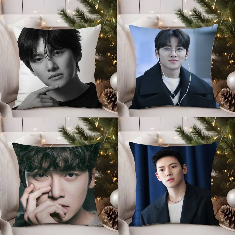J-Ji C-Chang Wook Kissenbezug Zuhause Wohnheim Stuhllehne Kurzer Plüsch Doppelseitiger Druck Büro Nickerchen Zeit Kissenbezug