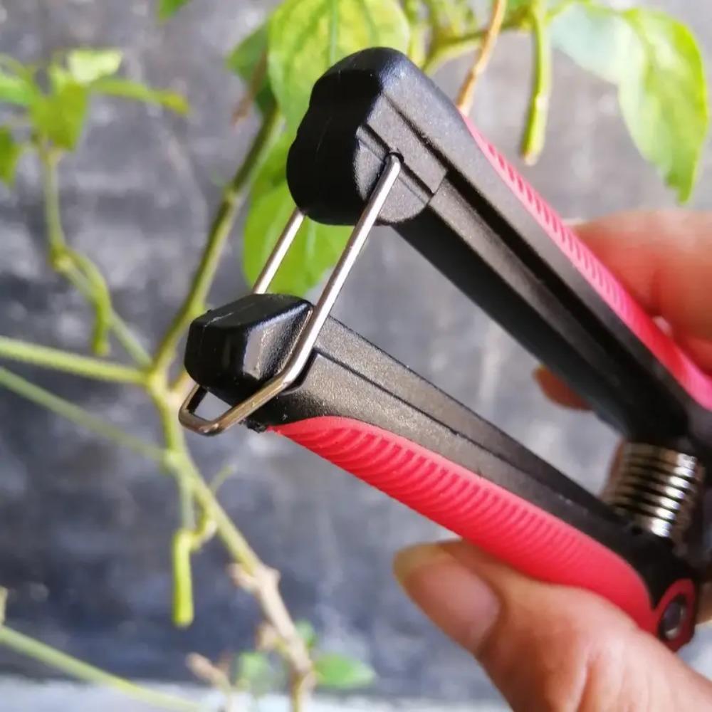 Pruning Shear Branch Scissors Sharp Pruner Trimmer Fruit Tree Garden Plant Flowers Trimming Gardening Household Bonsai Tools