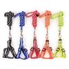 Puppy Dog Cat Reflective Braided Traction Rope Dog Chain Chest Strap Pet Leash