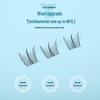 10 Rows Glue-Free Self-Adhesive Clear Ballet False Eyelashes - Natural Single Clusters for Easy Application and On-Camera Use