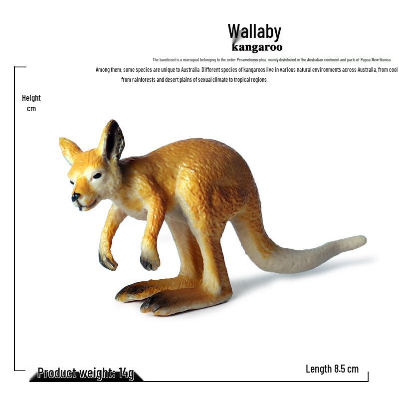 Wild Kangaroo & Joey Animal Model Set for Kids