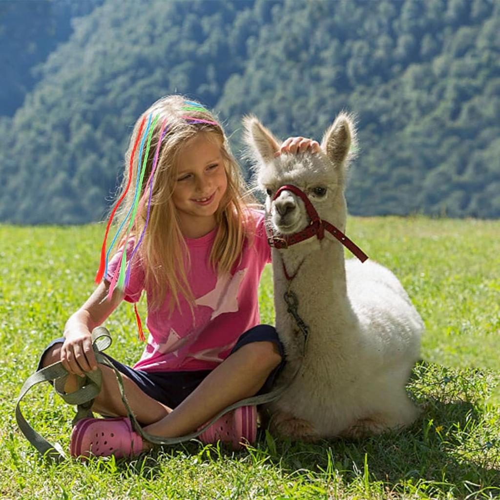 36 Color Braided Hair Extensions with Clips, Rainbow Braided Kids Hair Extensions Hair Accessories for Kids Halloween Cosplay Party