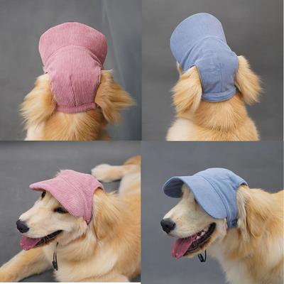 Giyim ve ayakkabı – Köpek için şapkalar