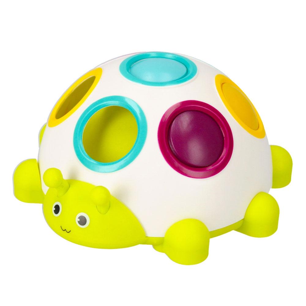 Turtle Sensory Toy. Bam Bam 492756