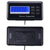 Big Pet Smart Weighbridge: Accurate, Multifunctional, Stainless Steel Scale for Pets & Livestock