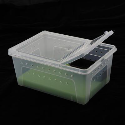 Haustier Reptil Spinne Zuchtbox Transportbox Futter Brutbehälter