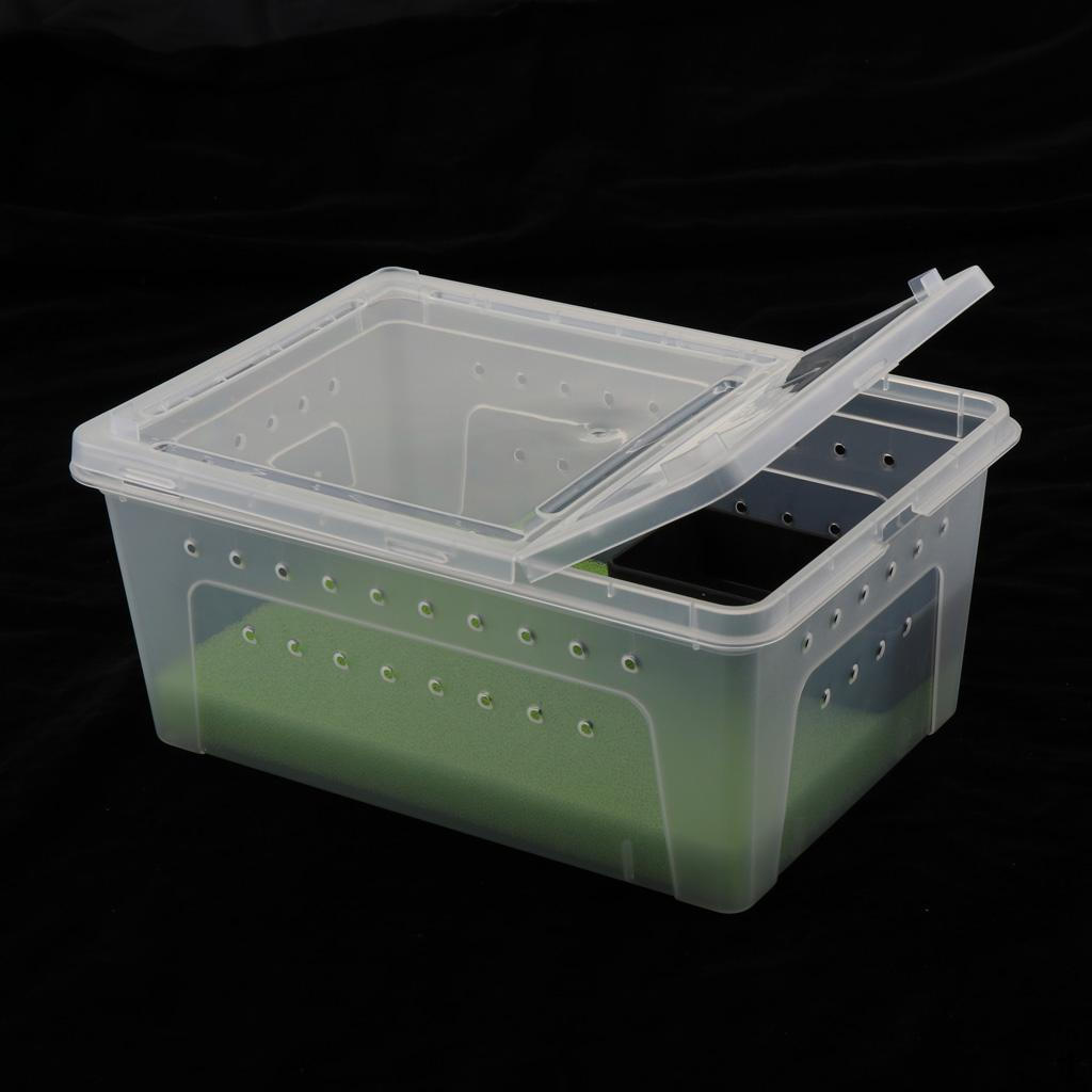 Pet Reptile Spider Breeding Box Transport Case Feeding Hatching Tank